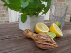 Presse-agrumes 15 cm en bois d'olivier Terra Gusto – vue 2